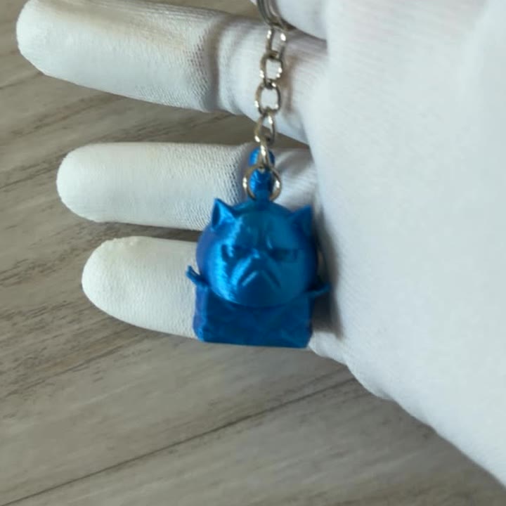 Cat in a Box Keychain 3D printed toy, AED 8